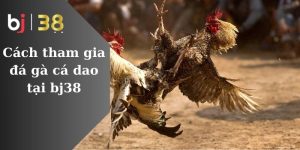 Cách tham gia đá gà cá dao tại bj38