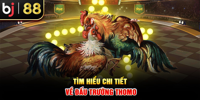 Tìm hiểu chi tiết về đấu trường Thomo